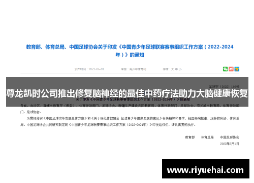 尊龙凯时公司推出修复脑神经的最佳中药疗法助力大脑健康恢复